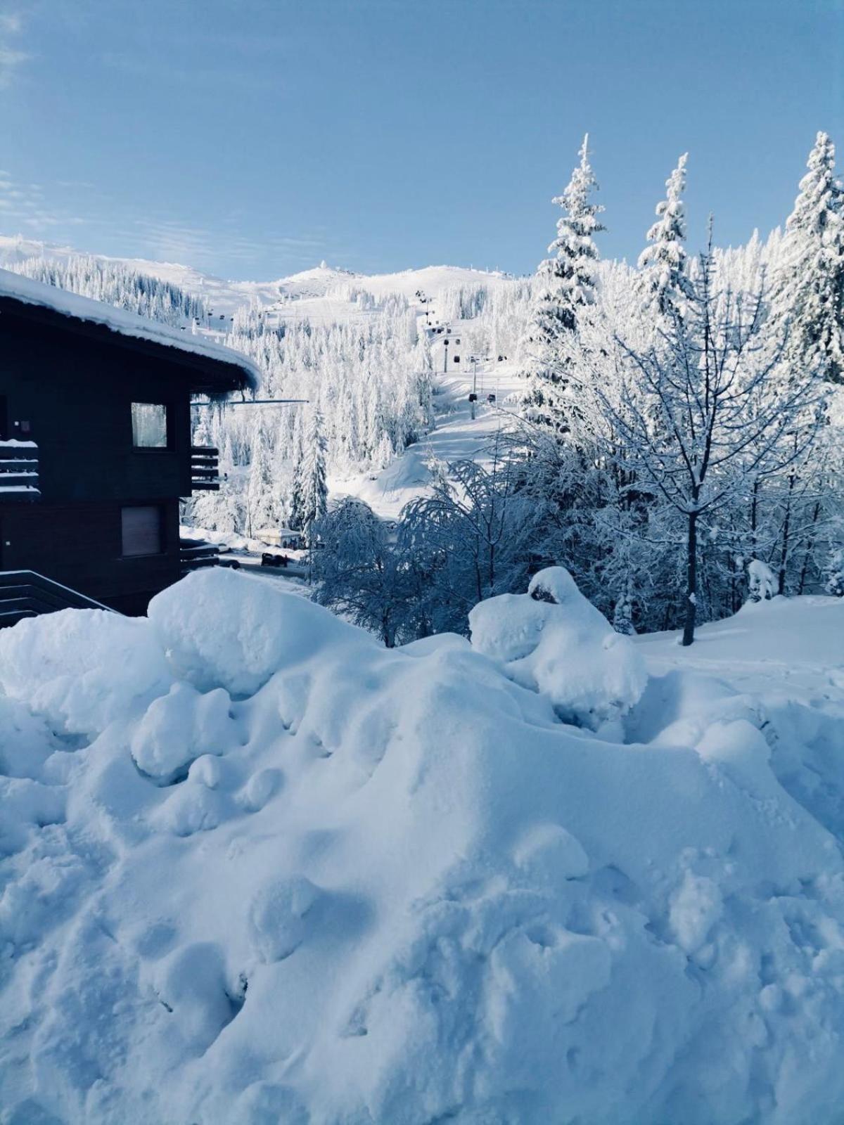 Apartmani Kosuta- Ljiljana Dokanovic Jahorina Exteriér fotografie